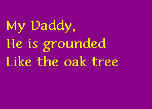 My Daddy,
He is grounded

Like the oak tree