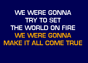 WE WERE GONNA
TRY TO SET
THE WORLD ON FIRE
WE WERE GONNA
MAKE IT ALL COME TRUE