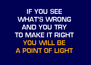 IF YOU SEE
1M'VI-IAT'S WRONG
AND YOU TRY
TO MAKE IT RIGHT
YOU WLL BE

A POINT OF LIGHT l