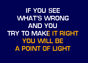 IF YOU SEE
WHATS WRONG
AND YOU
TRY TO MAKE IT RIGHT
YOU WILL BE
A POINT OF LIGHT