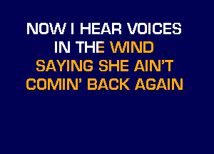NDWI HEAR VOICES
IN THE WIND
SAYING SHE AIN'T
COMIN' BACK AGAIN