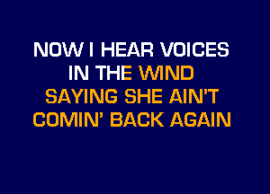 NDWI HEAR VOICES
IN THE WIND
SAYING SHE AIN'T
COMIN' BACK AGAIN