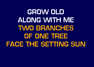 GROW OLD
ALONG WITH ME
TWO BRANCHES

OF ONE TREE
FACE THE SETTING SUN