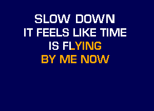SLOW DOWN
IT FEELS LIKE TIME
IS FLYING

BY ME NOW