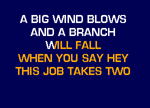 A BIG WIND BLOWS
AND A BRANCH
WILL FALL
WHEN YOU SAY HEY
THIS JOB TAKES MO