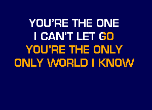 YOUPE THE ONE
I CAN'T LET GO
YOURE THE ONLY
ONLY WORLD I KNOW