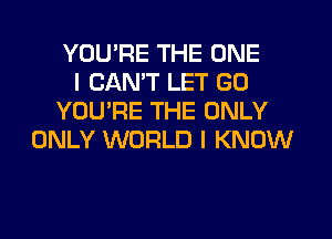 YOUPE THE ONE
I CAN'T LET GO
YOU'RE THE ONLY
ONLY WORLD I KNOW