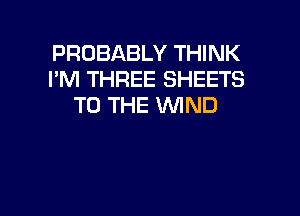 PROBABLY THINK
I'M THREE SHEETS
TO THE WIND