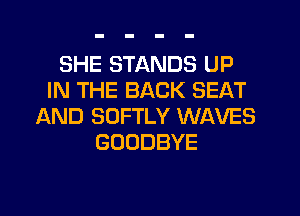 SHE STANDS UP
IN THE BACK SEAT
AND SOFTLY WAVES
GOODBYE