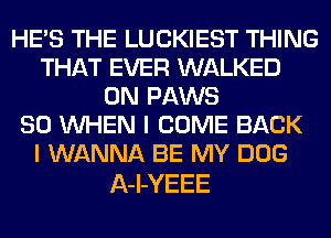 HE'S THE LUCKIEST THING
THAT EVER WALKED
0N PAWS
SO WHEN I COME BACK
I WANNA BE MY DOG

A-l-YEEE