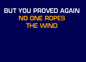 BUT YOU PROVED AGAIN
NO ONE ROPES
THE WIND