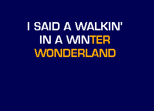 I SAID A WALKIN'
IN A WINTER
WONDERLAND