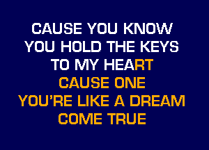 CAUSE YOU KNOW
YOU HOLD THE KEYS
TO MY HEART
CAUSE ONE
YOU'RE LIKE A DREAM
COME TRUE