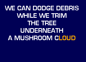 WE CAN DODGE DEBRIS
WHILE WE TRIM
THE TREE
UNDERNEATH
A MUSHROOM CLOUD