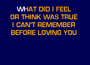 WHAT DID I FEEL
0R THINK WAS TRUE
I CANT REMEMBER
BEFORE LOVING YOU