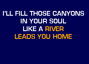 I'LL FILL THOSE CANYONS
IN YOUR SOUL
LIKE A RIVER
LEADS YOU HOME