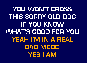 YOU WON'T CROSS
THIS SORRY OLD DOG
IF YOU KNOW
WHATS GOOD FOR YOU
YEAH I'M IN A REAL
BAD MOOD
YES I AM