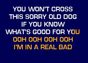 YOU WON'T CROSS
THIS SORRY OLD DOG
IF YOU KNOW
WHATS GOOD FOR YOU
00H 00H 00H 00H
I'M IN A REAL BAD