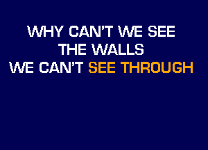 WHY CAN'T WE SEE
THE WALLS
WE CAN'T SEE THROUGH