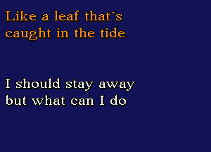 Like a leaf that's
caught in the tide

I should stay away
but what can I do