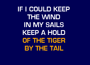 IF I COULD KEEP
THE WND
IN MY SAILS
KEEP A HOLD

OF THE TIGER
BY THE TAIL