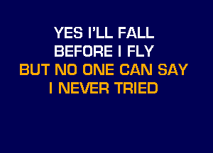 YES I'LL FALL
BEFORE I FLY
BUT NO ONE CAN SAY

I NEVER TRIED