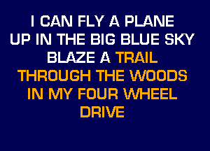 I CAN FLY A PLANE
UP IN THE BIG BLUE SKY
BLAZE A TRAIL
THROUGH THE WOODS
IN MY FOUR WHEEL
DRIVE