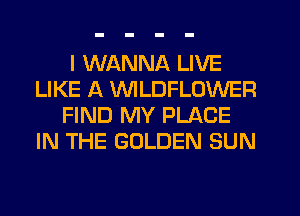 I WANNA LIVE
LIKE A VVILDFLOWER
FIND MY PLACE
IN THE GOLDEN SUN