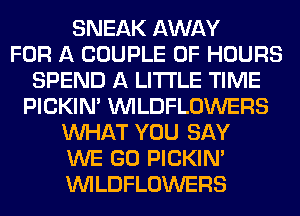 SNEAK AWAY
FOR A COUPLE 0F HOURS
SPEND A LITTLE TIME
PICKIM VVILDFLOWERS
WHAT YOU SAY
WE GO PICKIM
VVILDFLOWERS