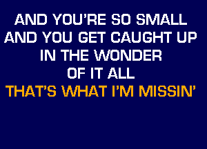 AND YOU'RE SO SMALL
AND YOU GET CAUGHT UP
IN THE WONDER
OF IT ALL
THAT'S WHAT I'M MISSIN'