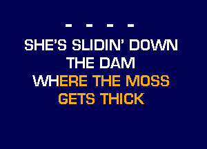 SHE'S SLIDIN' DOWN
THE DAM

WHERE THE MOSS
GETS THICK