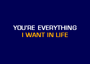 YOU'RE EVERYTHING

I WANT IN LIFE