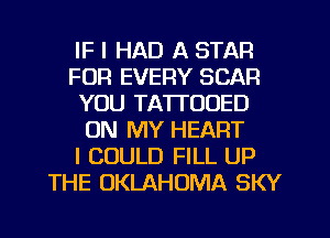 IF I HAD A STAR
FUR EVERY SCAR
YOU TATTOOED
ON MY HEART
I COULD FILL UP
THE OKLAHOMA SKY