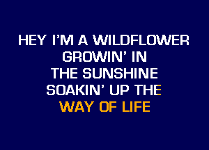 HEY I'M A WILDFLOWER
GROWIN' IN
THE SUNSHINE
SOAKIN' UP THE
WAY OF LIFE