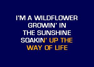 I'M A WILDFLOWER
GROWIN' IN
THE SUNSHINE

SOAKIN' UP THE
WAY OF LIFE