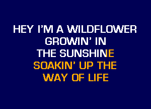 HEY I'M A WILDFLOWER
GROWIN' IN
THE SUNSHINE
SOAKIN' UP THE
WAY OF LIFE