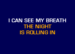I CAN SEE MY BREATH
THE NIGHT

IS ROLLING IN