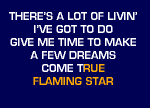 THERE'S A LOT OF LIVIN'
I'VE GOT TO DO
GIVE ME TIME TO MAKE
A FEW DREAMS
COME TRUE
FLAMING STAR
