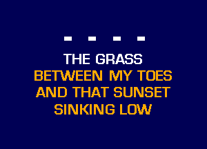 THE GRASS
BETWEEN MY TDES
AND THAT SUNSET

SINKING LOW

g