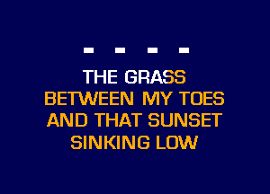 THE GRASS
BETWEEN MY TDES
AND THAT SUNSET

SINKING LOW

g