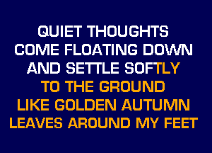 QUIET THOUGHTS
COME FLOATING DOWN
AND SETTLE SOFTLY
TO THE GROUND

LIKE GOLDEN AUTUMN
LEAVES AROUND MY FEET