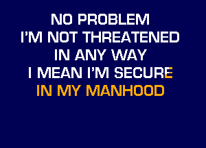 NO PROBLEM
I'M NOT THREATENED
IN ANY WAY
I MEAN I'M SECURE
IN MY MANHOOD