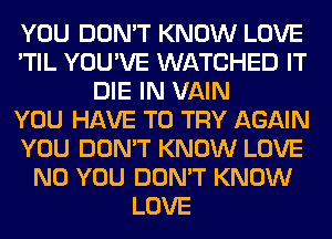 YOU DON'T KNOW LOVE
'TIL YOU'VE WATCHED IT
DIE IN VAIN
YOU HAVE TO TRY AGAIN
YOU DON'T KNOW LOVE
N0 YOU DON'T KNOW
LOVE