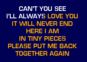 CAN'T YOU SEE
I'LL ALWAYS LOVE YOU
IT WILL NEVER END
HERE I AM
IN TINY PIECES
PLEASE PUT ME BACK
TOGETHER AGAIN