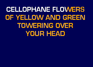 CELLOPHANE FLOWERS
0F YELLOW AND GREEN
TOWERING OVER
YOUR HEAD