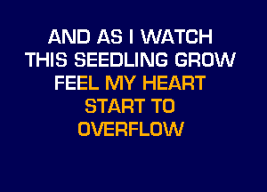 AND AS I WATCH
THIS SEEDLING GROW
FEEL MY HEART
START T0
OVERFLOW