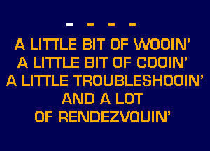 A LITTLE BIT OF WOOIN'
A LITTLE BIT OF COOIN'
A LITTLE TROUBLESHOOIN'
AND A LOT
OF RENDEZVOUINA