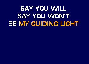 SAY YOU WLL
SAY YOU WON'T
BE MY GUIDING LIGHT