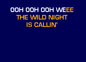 00H 00H 00H WEEE
THE WILD NIGHT
IS CALLIM