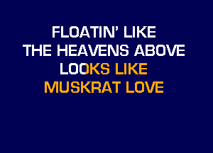 FLOATIM LIKE
THE HEAVENS ABOVE
LOOKS LIKE
MUSKRAT LOVE